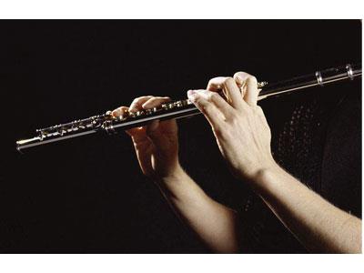 招聘三亚长笛家教老师