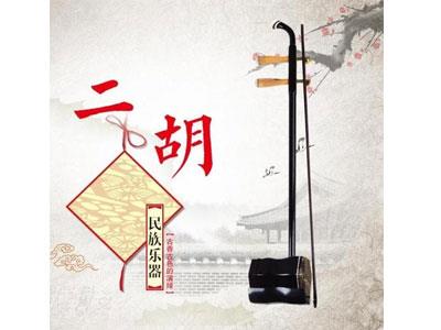 招聘三亚二胡家教老师